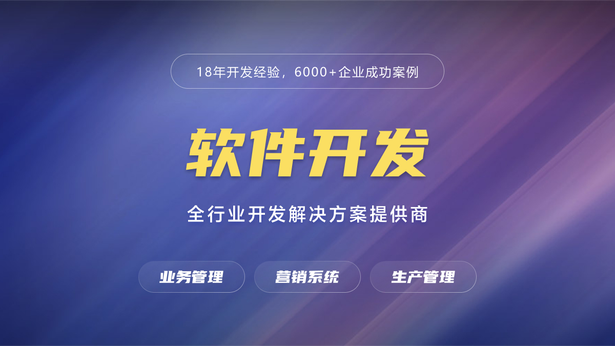 软件开发